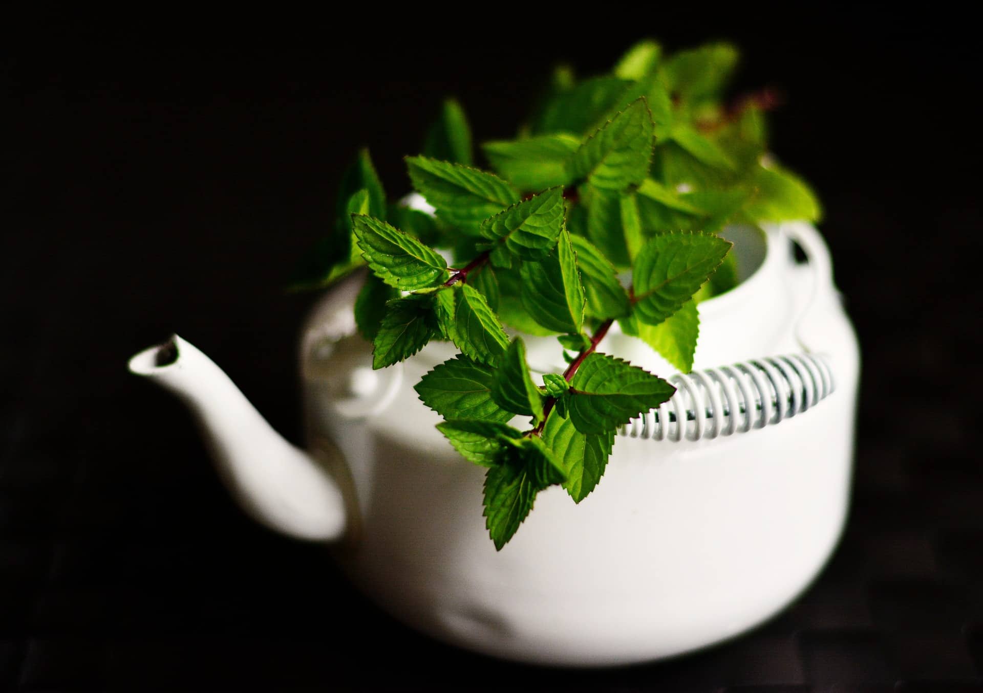 peppermint on teapot