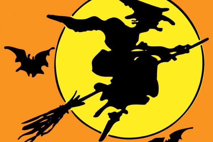 halloween witch on broomstick