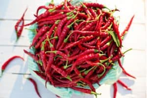 cayenne for winter herbs