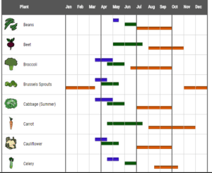 Plant Your Garden calendar