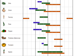 vegetable Plant Your Garden calendar
