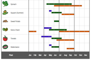 vegetable and other Plants in Your Garden calendar