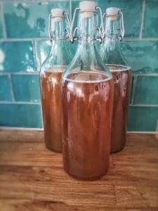 Kombucha herbs