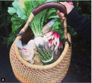 products and vegetables found on farmer's market