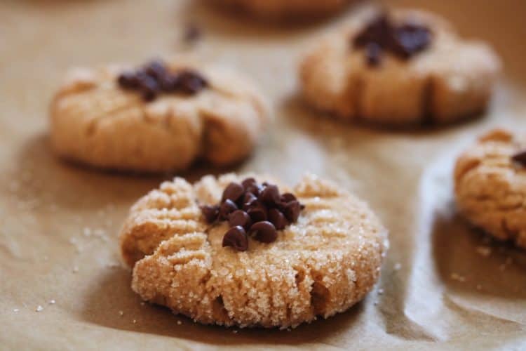 Peanut Butter Chocolate Chip Cookies