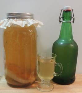 Kombucha a fermented tea drink